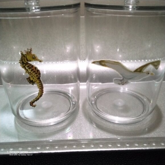 Bathroom Vanity Mattt Silver Tray, 2 Ocean Themed Q-Tip, Cotton Ball Containers - Picture 6 of 8